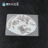 铁树开花 商品缩略图0
