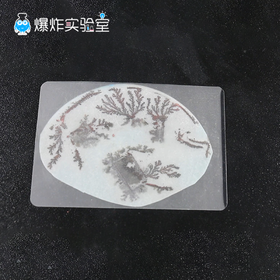 铁树开花