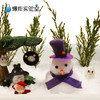 圣诞冰雪人（冰雪世界升级版） 商品缩略图1