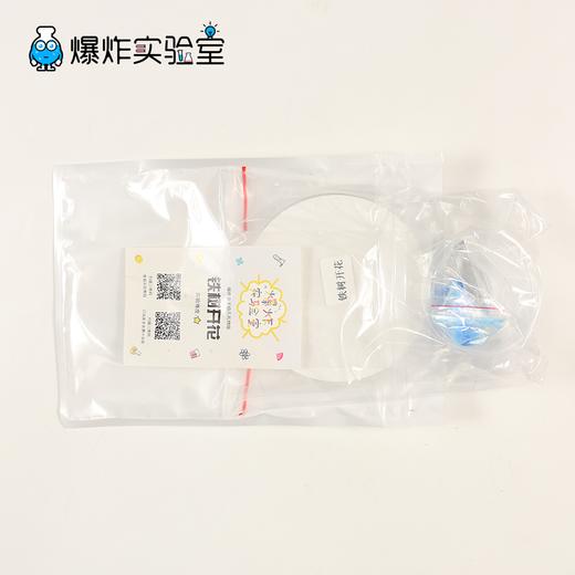 铁树开花 商品图3