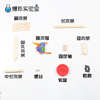 啄木鸟 商品缩略图4