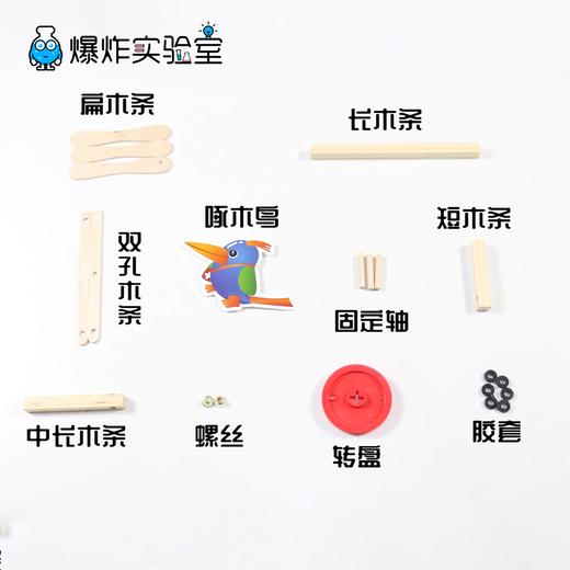 啄木鸟 商品图4