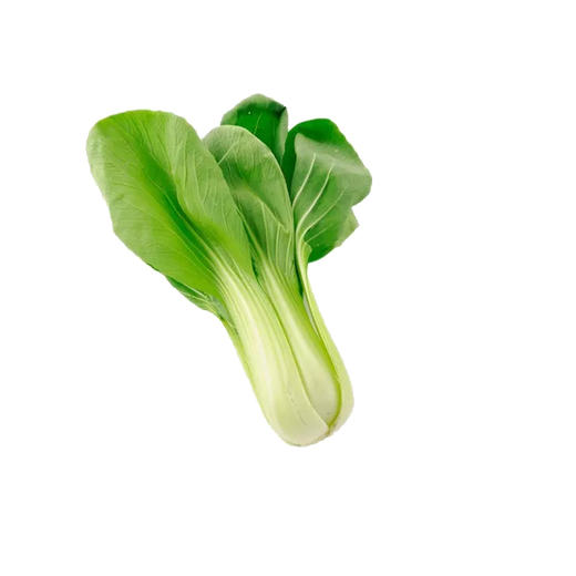 小白菜 商品图0