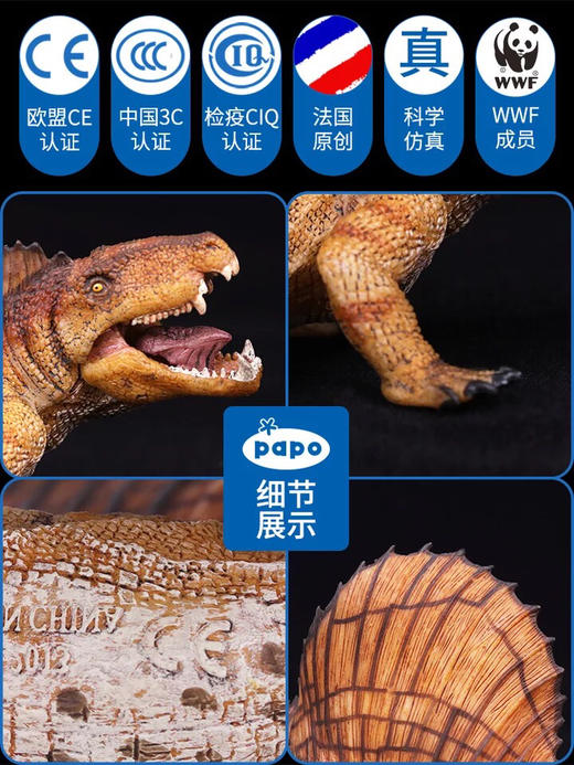 papo 帆龙（55033） 商品图2