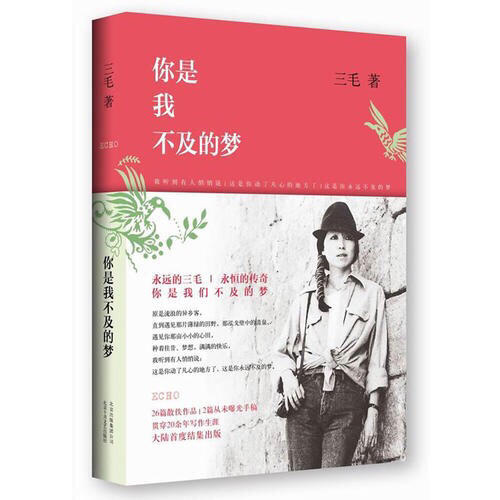 你是我不及的梦 商品图0