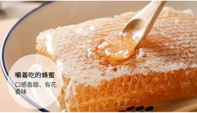 小诸葛
