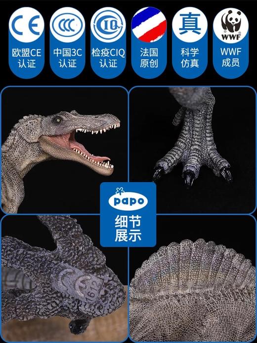 papo 北非棘龙（55011） 商品图3