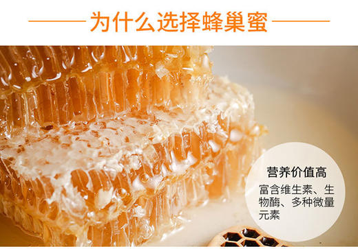 111 商品图0