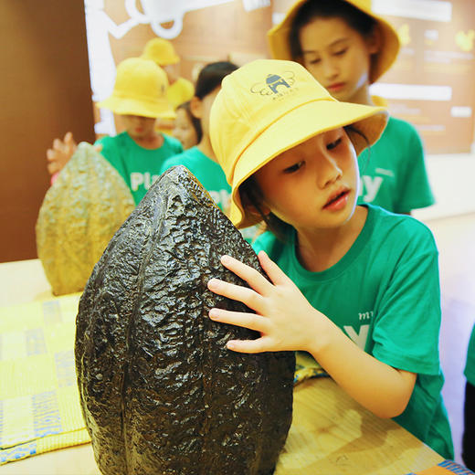 西湖之声小西成长营 | 秋假营—植物王国历险记 商品图1