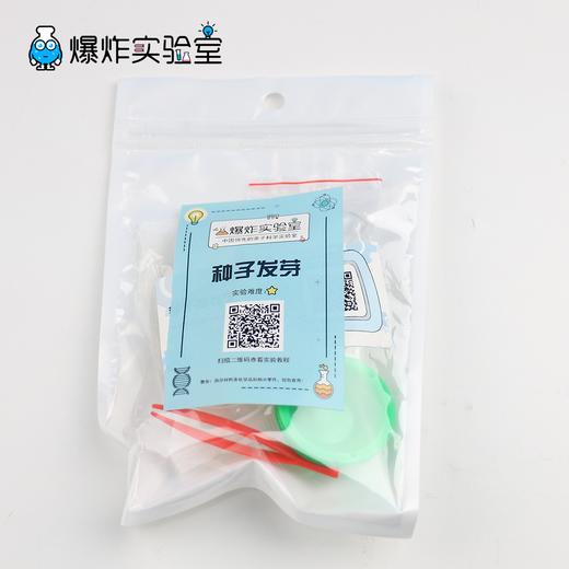 种子发芽 商品图2