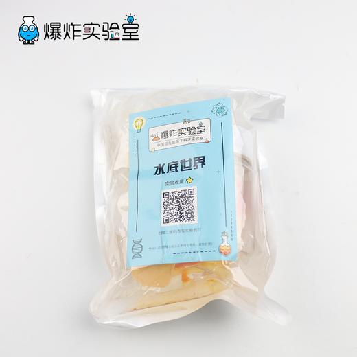 水底世界 商品图2