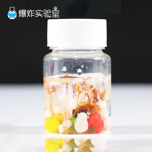 水底世界 商品图0