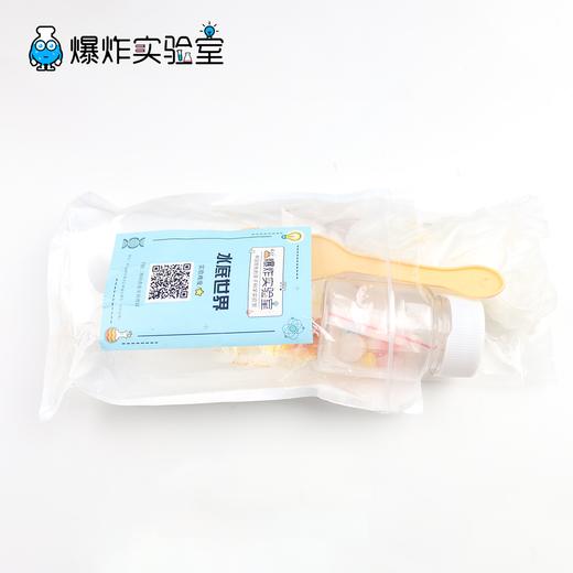 水底世界 商品图3