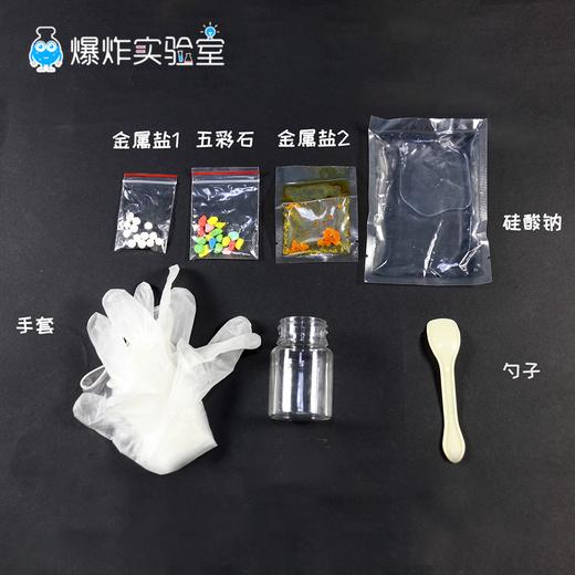 水底世界 商品图4