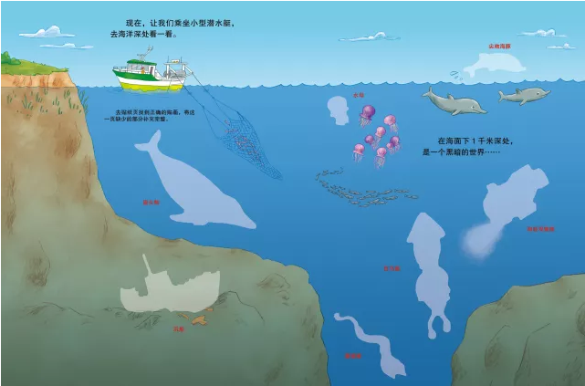 跟着潜水员,到热带海域里去见识色彩斑斓的海洋生物.