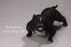 恶霸犬1:6仿真模型 商品缩略图4
