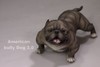 恶霸犬1:6仿真模型 商品缩略图1