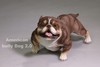 恶霸犬1:6仿真模型 商品缩略图2