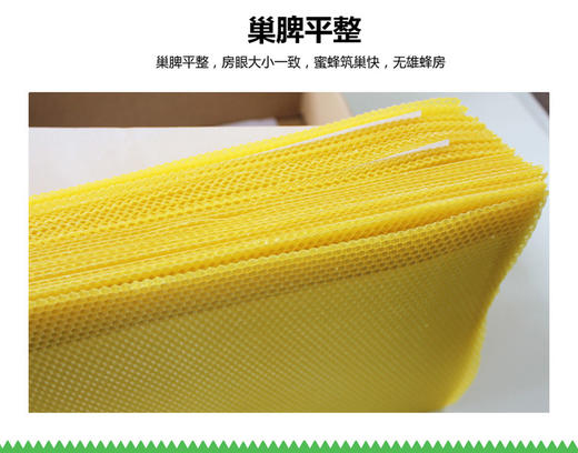 【正品保证】八千巢础中蜂巢础片 蜂巢脾蜂蜡厂家包邮蜂箱养蜂工具35片普通地区满百元包邮 商品图2