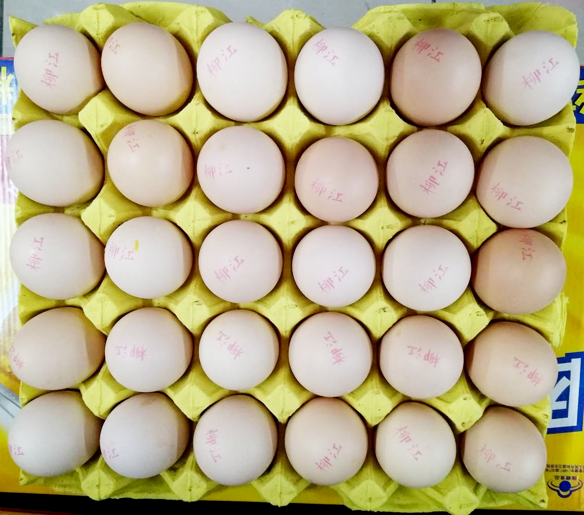 柳江鸡蛋 / 件 360枚