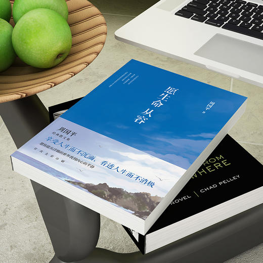 周国平：愿生命从容 商品图3