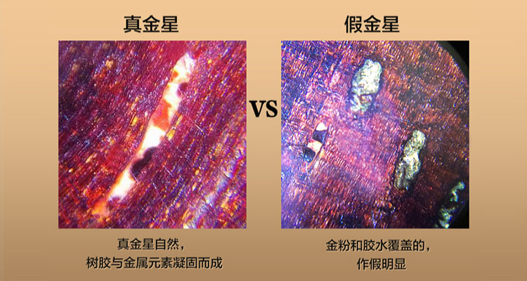 【视频】真假金星鉴定原来这么简单