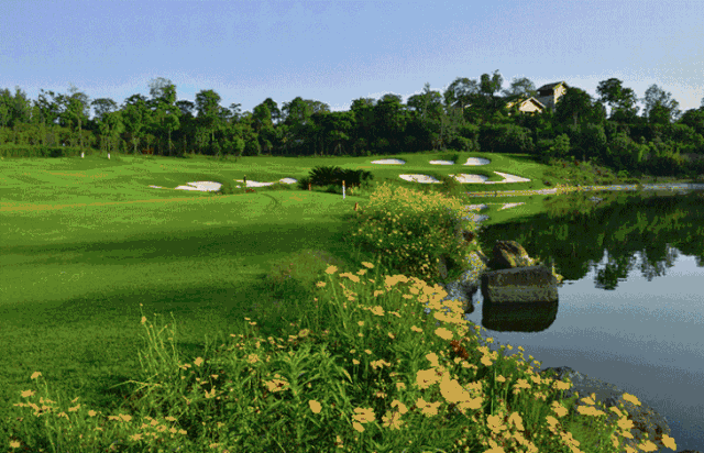 壁纸 草原 桌面 640_412 gif 动态图 动图