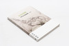 山水清晖-王翚及其家族画艺/百年家族系列 石头出版社 商品缩略图1