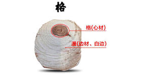 了解这些名词，带你步入海黄殿堂！