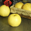 润肺止咳 秋季佳品-砀山酥梨 商品缩略图2