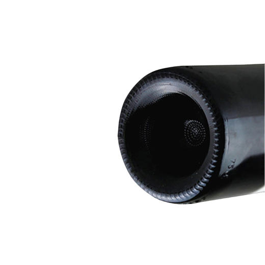 【发货时间待定】轻品时光 新疆优选半干型红酒葡萄酒750ml*2 商品图2