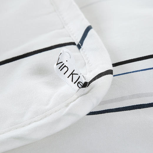 CXW-012 CK STRIPE全棉时尚被 商品图4