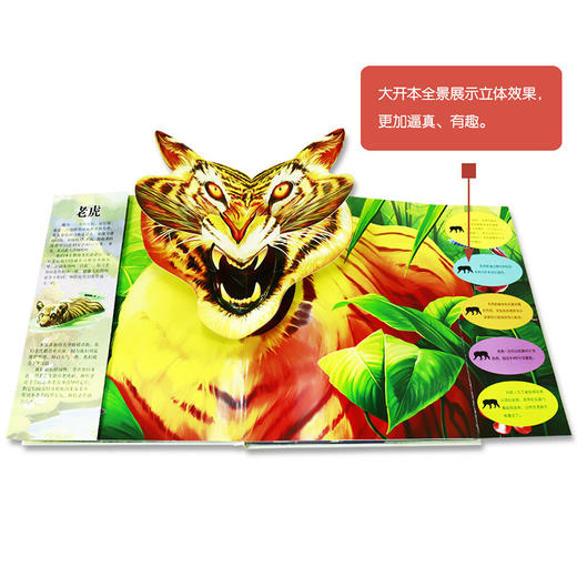 超炫超酷的3D立体发音书--野生动物弹出来 商品图1