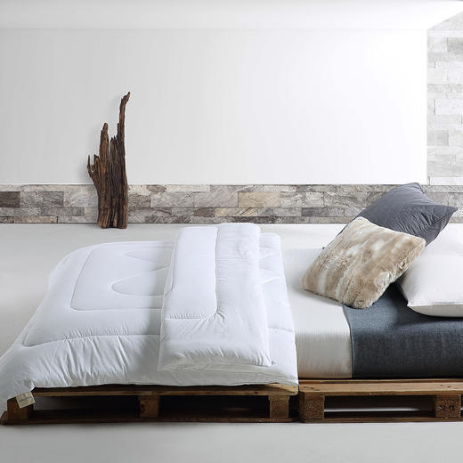 CXW-011 CK除甲醛功能被 商品图1