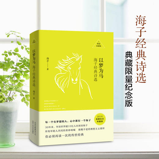 以梦为马：海子经典诗选 商品图1
