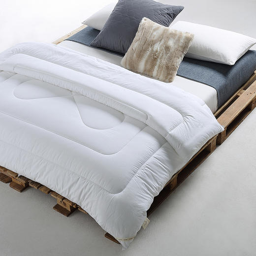 CXW-011 CK除甲醛功能被 商品图2