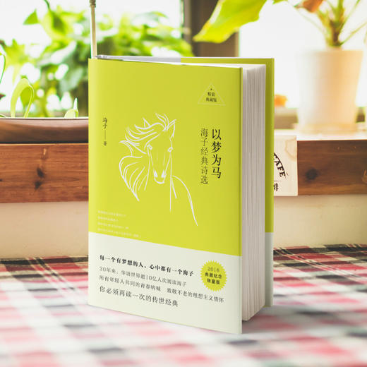 以梦为马：海子经典诗选 商品图3
