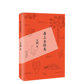 王朔：看上去很美