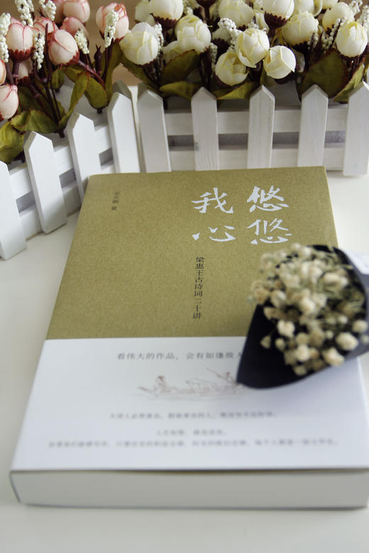 悠悠我心 商品图1