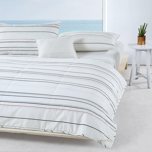 CXW-012 CK STRIPE全棉时尚被 商品图0