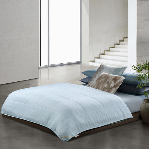 CXW-007 CK清爽夏被 商品图1