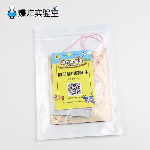 自动爬树的猴子 商品图2