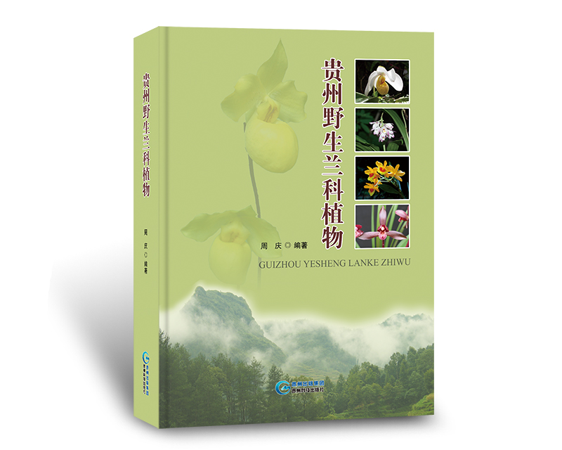 【出版社直销新书八折优惠】贵州野生兰科植物