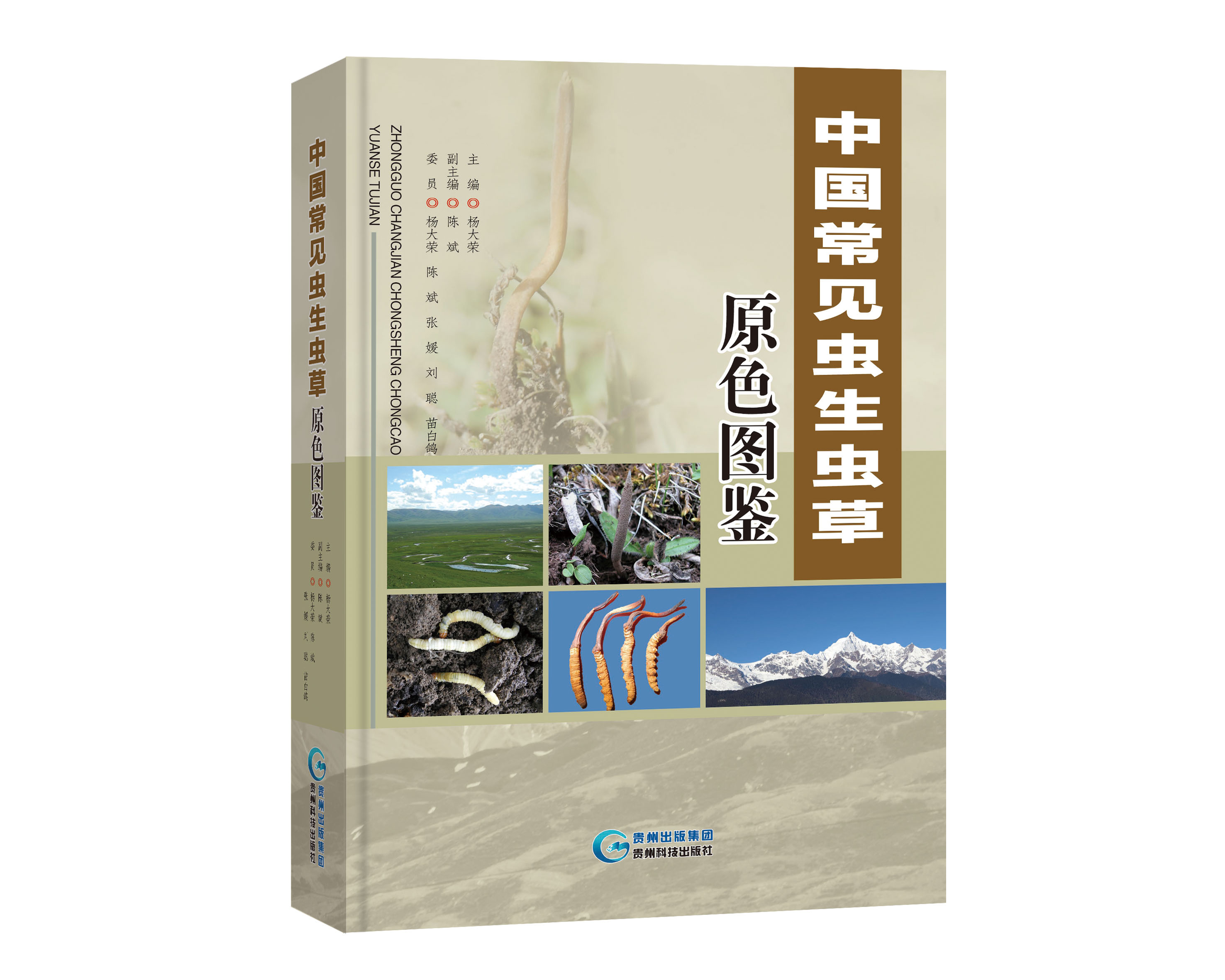 中国常见虫生虫草原色图鉴