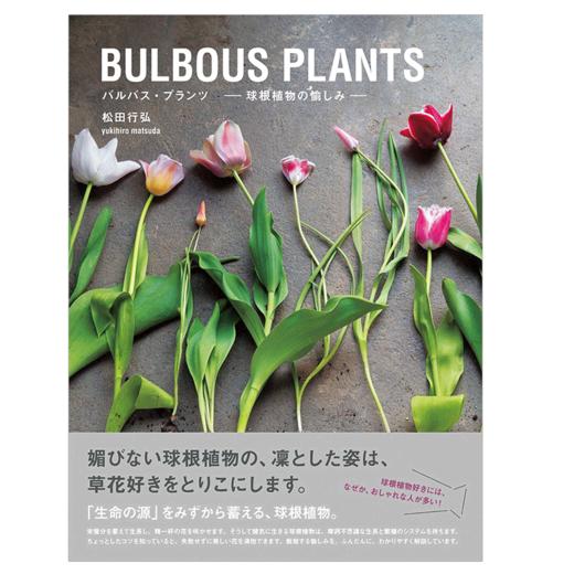 bulbous plants,球根植物种植方法 花艺景观