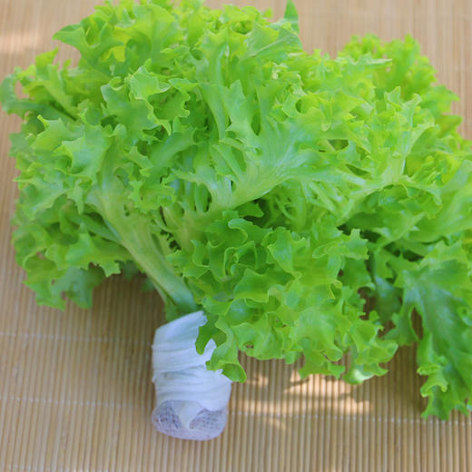 每日现摘_密农人家水生罗莎绿生菜_营养价值高90g 商品图3