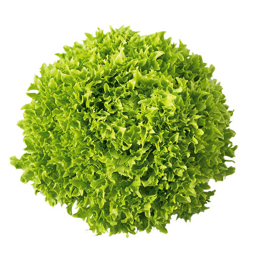 每日现摘_密农人家水生罗莎绿生菜_营养价值高90g 商品图6