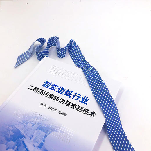 制浆造纸行业二噁英污染防治与控制技术 商品图1