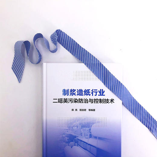 制浆造纸行业二噁英污染防治与控制技术 商品图2