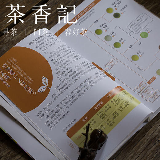 茶香记 《日本茶图鉴》 李曙韵诚挚推荐  日本茶认知  茶文化 商品图1